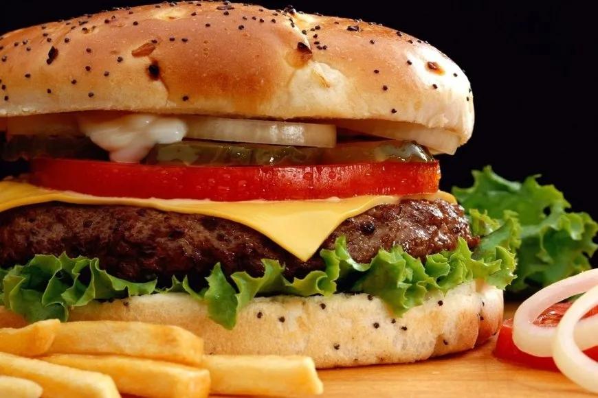 Hamburgerle 17 Kilo Verdi