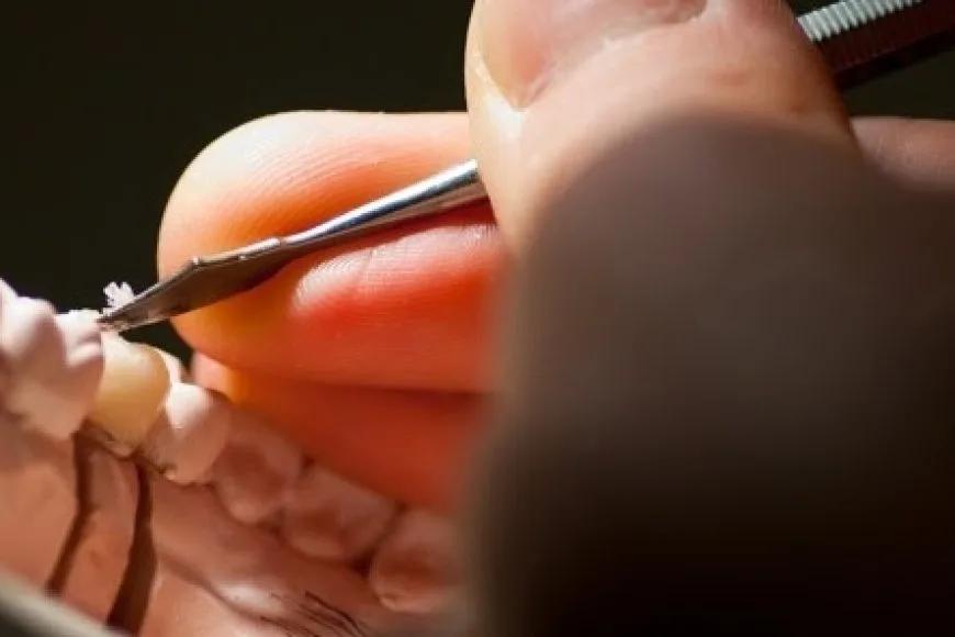 Dental Labor Diş Teknisyenliği Sempozyumu