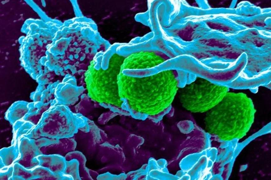 Bakterilerde Direnç Gelişmesini Önleyen Antibiyotik