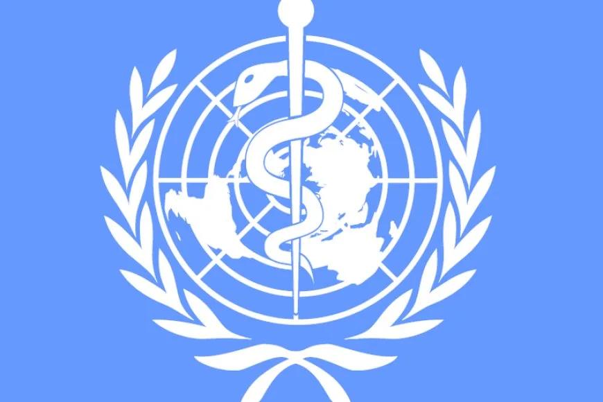 Zika Virüsü İçin Acil Önlem Çağrısı Yapıldı