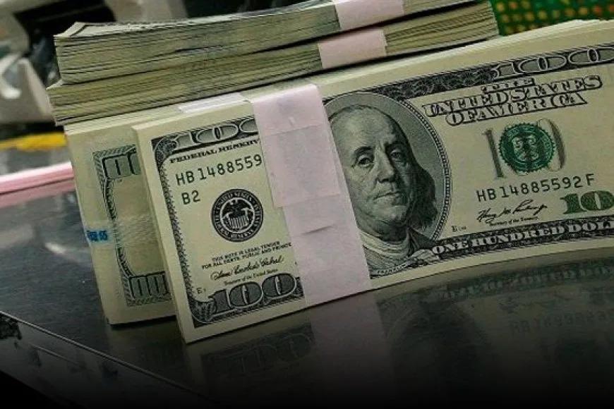 Vatandaş 2 Haftada 10,8 Milyar Dolarlık Döviz Sattı