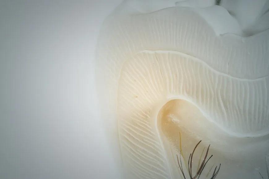 7. Uluslararası Endodonti Sempozyumu