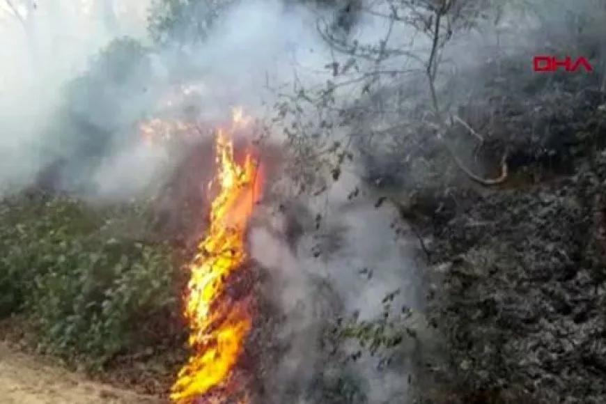 Karadeniz'de 5 ilde 71 noktada yangınlar sürüyor