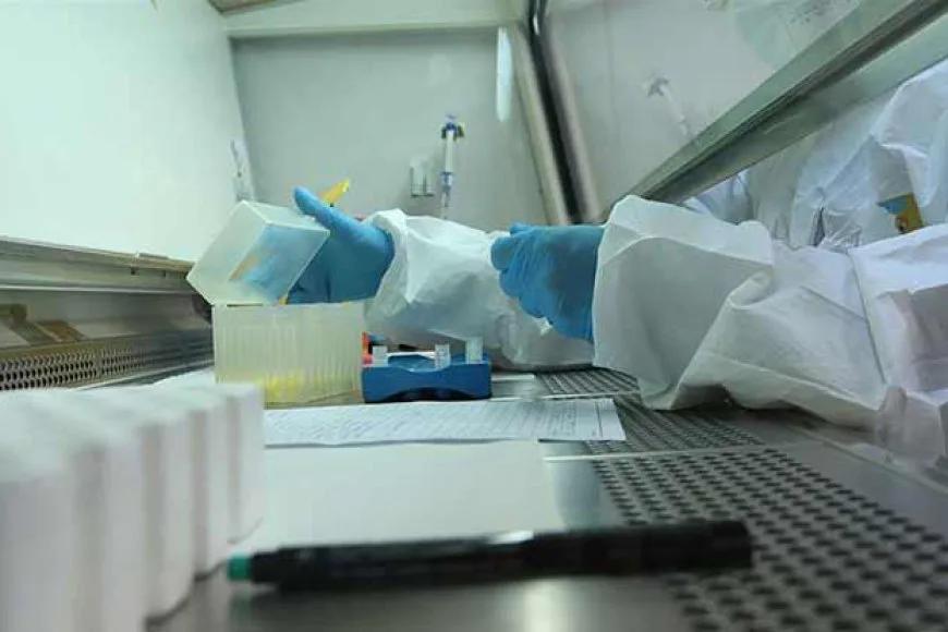 Ege Üniversitesi Corona virüs PCR testi için yetkilendirildi