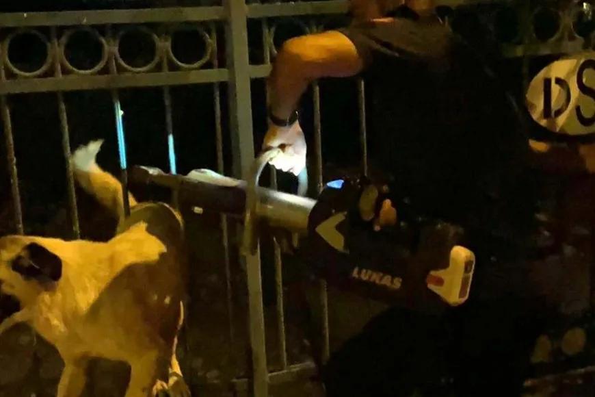 Hatay’da demir korkuluklara sıkışan köpeği itfaiye ekibi kurtardı