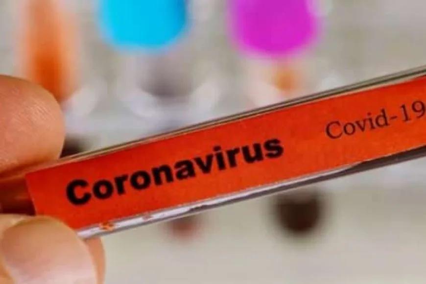 Türkiye'de Corona virüs vakası 1.872'ye yükseldi! 24 Mart dünyada kaç kişi hayatını kaybetti?
