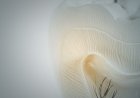 7. Uluslararası Endodonti Sempozyumu