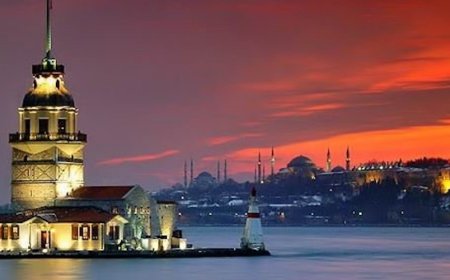 Dental İstanbul '13