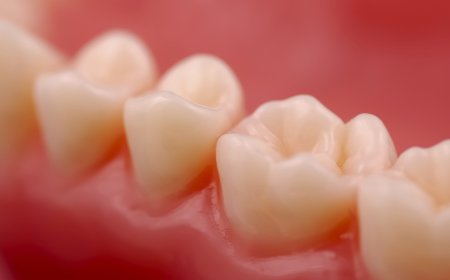 18. Dünya Dental Travmatoloji Kongresi