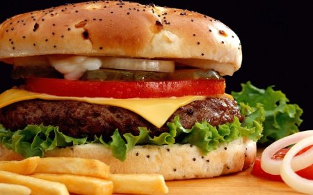 Hamburgerle 17 Kilo Verdi