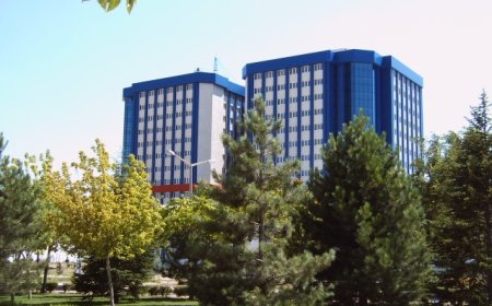 İşitme Engelli Kadın 10 Yılda Okulu Bitirip Doktor Oldu!