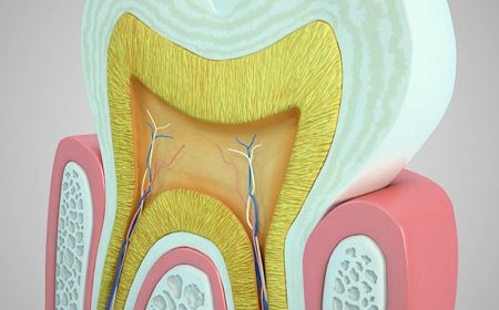 Endodontide Rejenerasyon