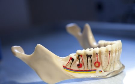 Tekrarlayan Endodontik Tedavilerde Güncel Yaklaşımlar
