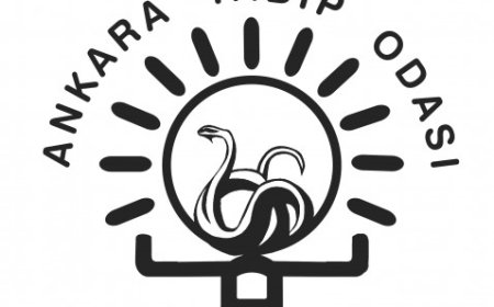 Bakanlık Tabip Odası Yönetiminin Görevden Alınmasını İstedi!