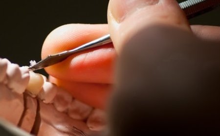Dental Labor Diş Teknisyenliği Sempozyumu