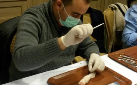 Kadavra Uygulamalı İmplantoloji ve Cerrahi Kursu