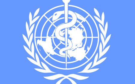 Zika Virüsü İçin Acil Önlem Çağrısı Yapıldı