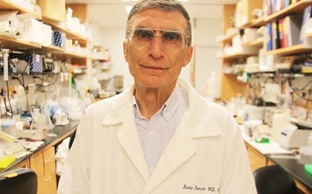 Prof. Aziz Sancar: Kanser tedavisinde çığır açacak yeni bir buluş yaptık