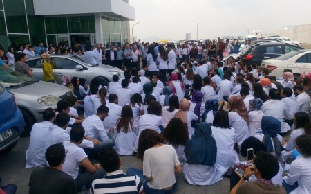 Marmara Diş'ten Fotoğraflar Gelmeye Devam Ediyor
