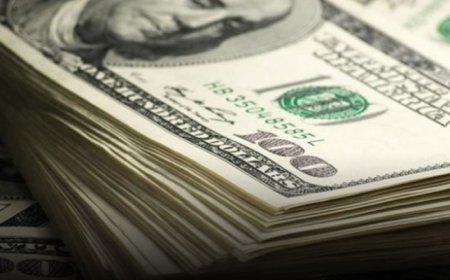 Dolar çoğu para birimi karşısında değer kaybetti