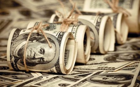 Dolar Tırmanışa Geçti