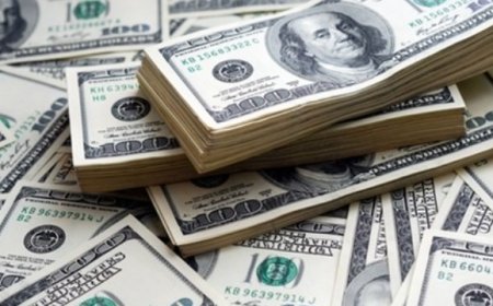 Ekonomi Kurmayları Dolar'ı Analiz Etti