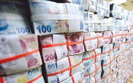 Kuruluşların 'Varlık Fonu'na Devredilmesi Ne Anlama Geliyor?
