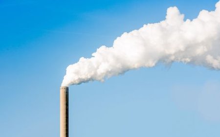 Hava Kirliliği, HDL Seviyesini Düşürüyor