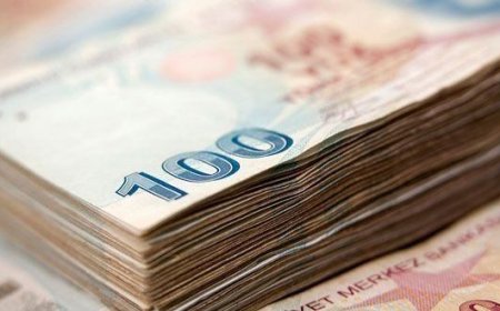25 Kamu Kurumu Şimdiye Kadar Görülmemiş Oranda Kar Etti