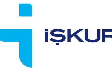 İlk 7 Ayda İşe Yerleşen Sayısında Rekor Artış