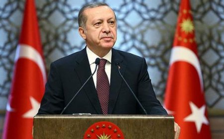 Erdoğan, Üç Üniversiteye Rektör Atadı