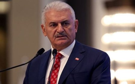 'Haksızlığa uğrayanlar varsa işlerine dönebilecekler'