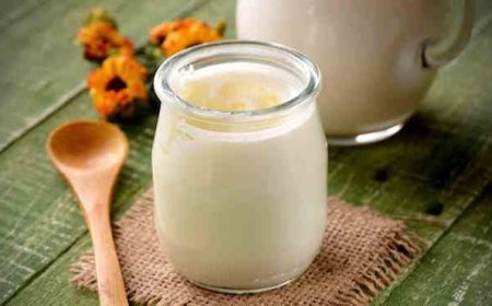 Kefir Diş Çürümelerini Önlüyor