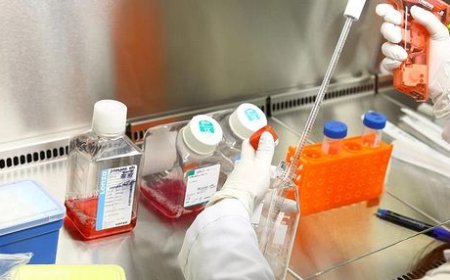Biri Diş Hekimliğinde Diğeri Tıpta 2 Yeni Uzmanlık Alanı Geliyor.