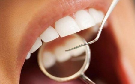 2019 Yılı 3.Dönem İlk Defa ve Yeniden Atama Kurası İçin Talep Toplama