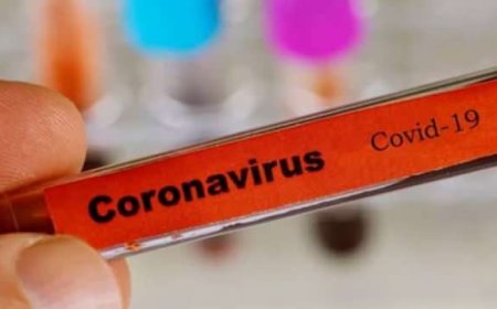 Türkiye'de Corona virüs vakası 1.872'ye yükseldi! 24 Mart dünyada kaç kişi hayatını kaybetti?