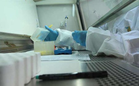 Ege Üniversitesi Corona virüs PCR testi için yetkilendirildi
