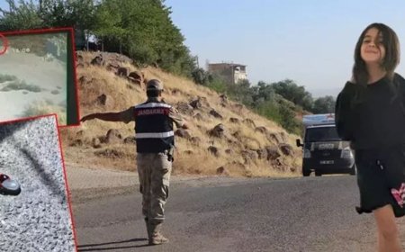 Kayıp Narin 9 gündür aranıyor: Isırık izinden neden sonuç çıkmadı?