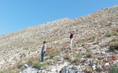 Antalya’da yaylaya düşen yıldırım can aldı