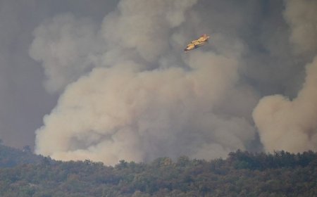 Hırvatistan’da orman yangını: 700 hektardan fazla alan kül oldu
