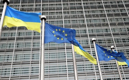 AB'nin Ukrayna'ya yardımı 43 milyon euroyu aştı