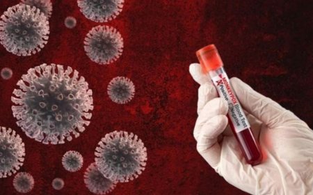 Nijerya'da M çiçeği vaka sayısı artıyor