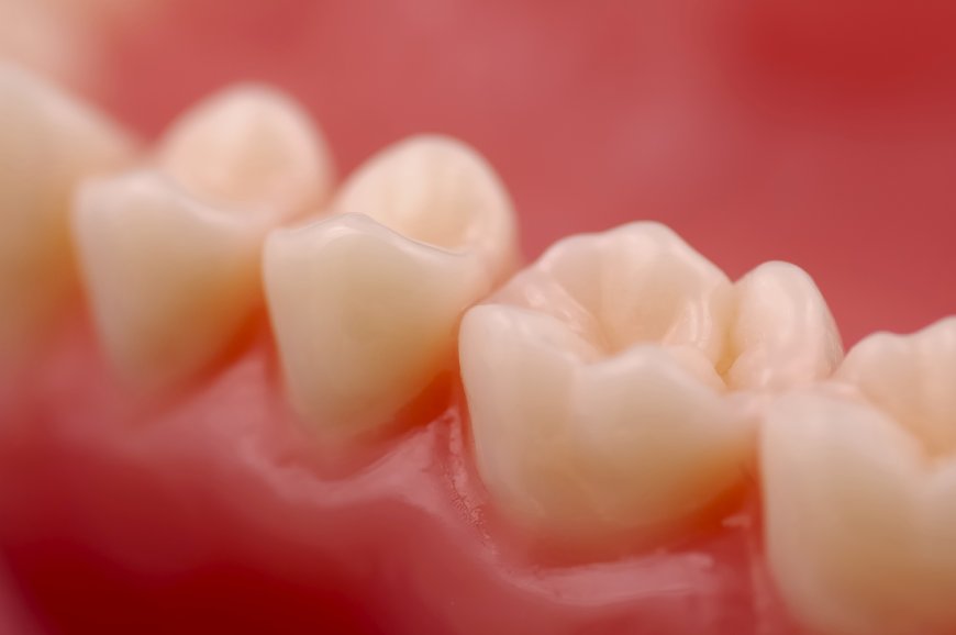 18. Dünya Dental Travmatoloji Kongresi