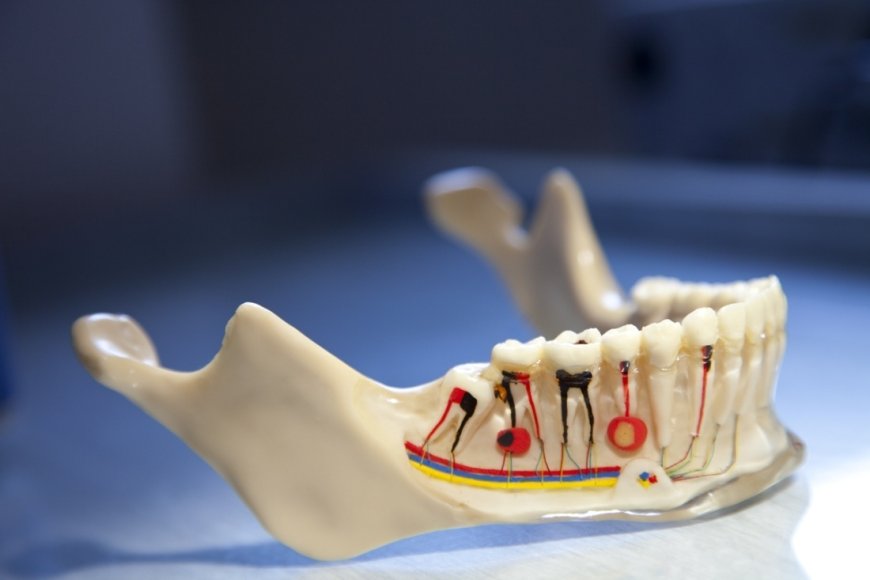 Tekrarlayan Endodontik Tedavilerde Güncel Yaklaşımlar