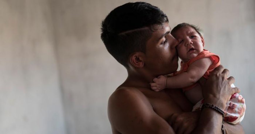 Dünya Sağlık Örgütü'nden Çarpıcı 'Zika Virüsü' Açıklaması