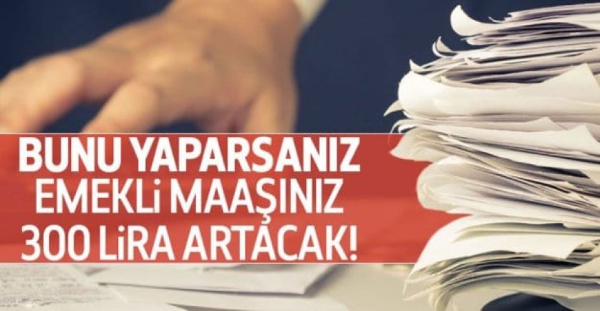 Emekli maaşını 300 lira artırmanın formülü