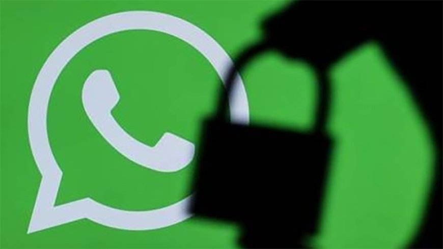 2020'de WhatsApp'tan Neler Beklemeliyiz?